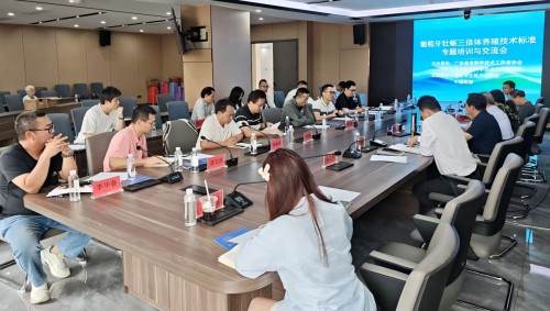 与会人员认真听取4个标准的解读