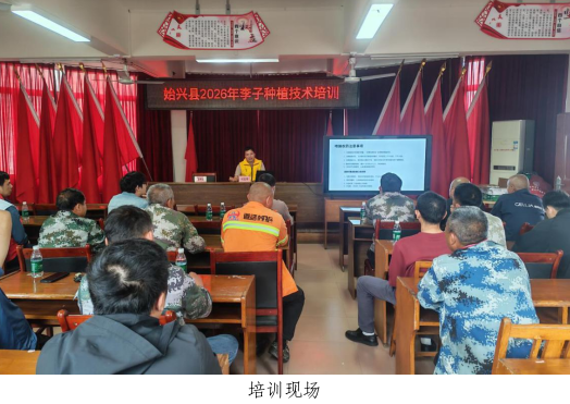 韶关市始兴县科协联合举办李子种植技术培训活动