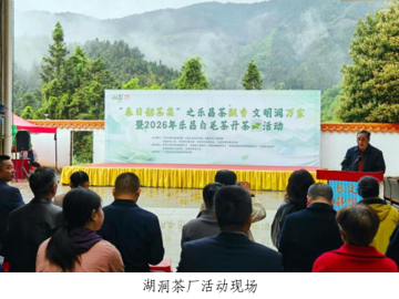 韶关乐昌市科协助力白毛茶开茶暨品牌推广活动