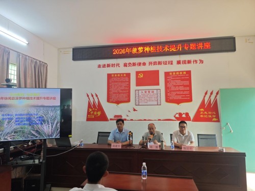 图片 1