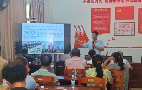 图片 3