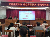 云浮市郁南县开展服务肉桂产业发展调研暨林下经济报告讲座活动