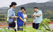 华南农业大学专家团队赴云浮市郁南县开展蚕桑产业发展调研服务活动