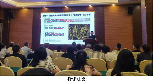韶关乐昌市举办“乐昌白毛茶”品质管控培训班