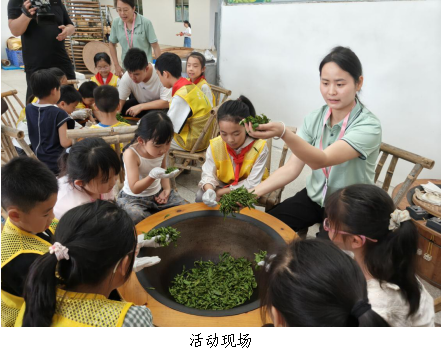 翁源县开展2026年“亲子采茶趣2