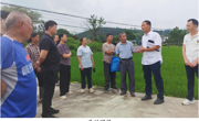 韶关市始兴县举办水稻种植科技志愿服务活动