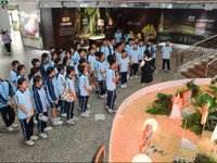 东莞市科协联合举办“凝固时光——琥珀科普展”