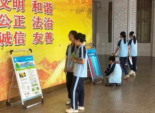 图片 4