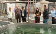 潮州市饶平县科协调研水产育苗养殖 助推百千万工程