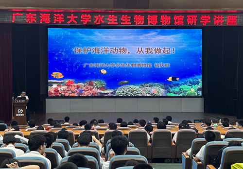 “中华白海豚保护宣传日”科普研学活动举办