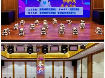 “百千万·莞一夏”青少年儿童暑期公益服务活动——“AI科技秀”走进寮步镇